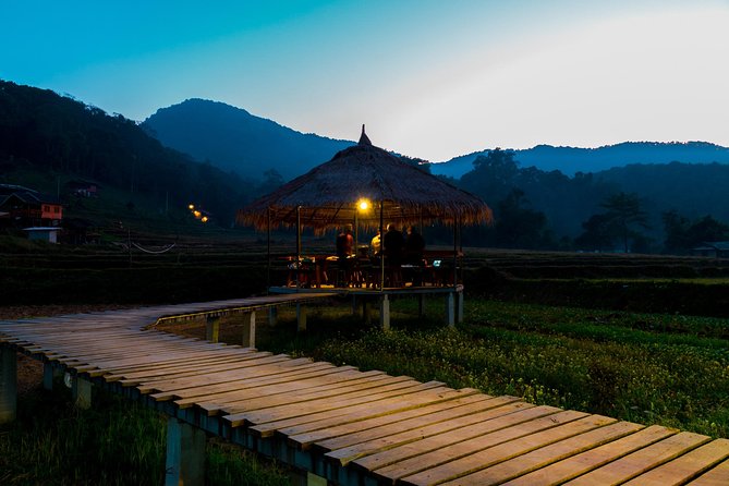 11 Day Tuk Tuk Adventure in Northern Thailand - Elephants and bamboo rafting on Day 2: active, but not frantic