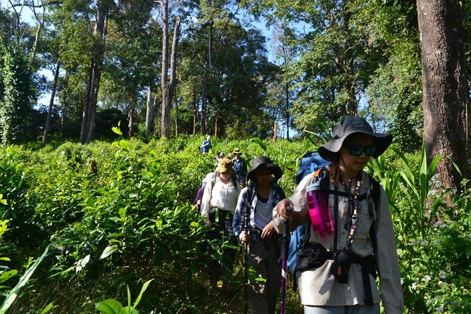 3-Day Chiang Dao Mountain Trek - What This Trek Feels Like on Your Body (Especially on the Downhills)