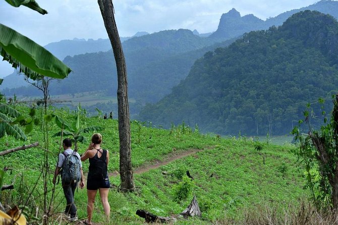 3-Day Chiang Dao Mountain Trek - Price and Value: Is $256 a Fair Deal?