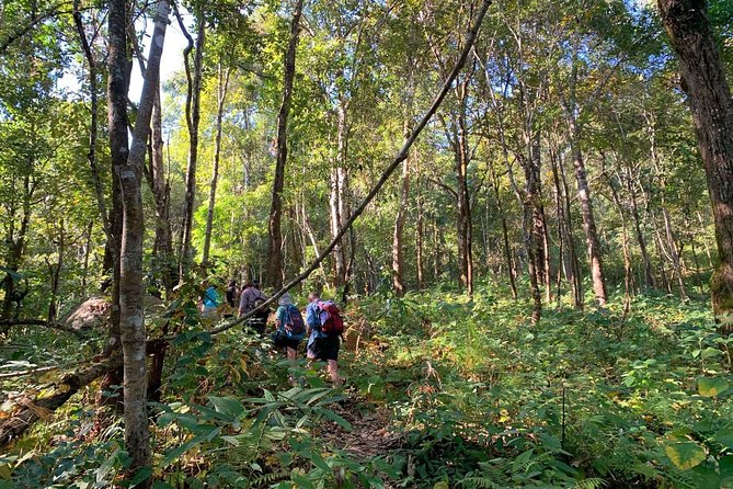 3-Day Chiang Dao Mountain Trek - Should You Book This 3-Day Chiang Dao Mountain Trek?