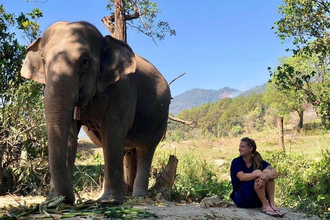 3-in-1: Doi Inthanon Tour, Elephant Sanctuary, and Trekking Trail - Ban Mae Klang Luang: the hill tribe coffee stop that actually feels like a break