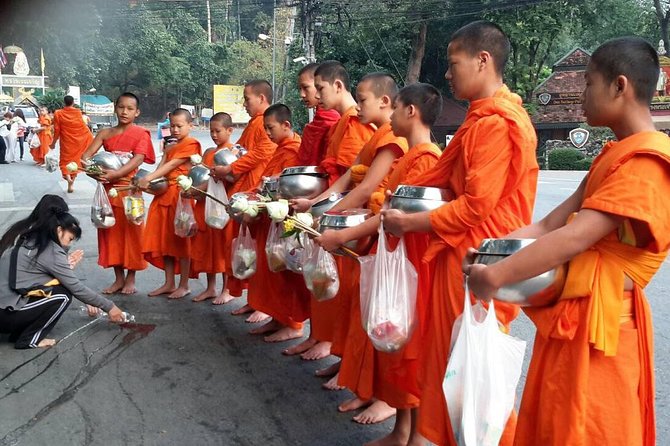4 highlights: Sticky Waterfall/Elephants/local market /Wat Banden - Elephant sanctuary visit: how to make the stop meaningful