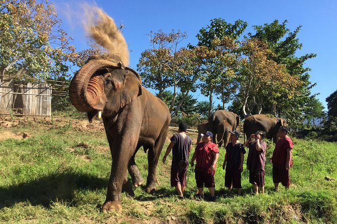 5 Day Tuk Tuk Adventure in Chiang Mai - with driver - Tuk Tuk travel in Northern Thailand, minus the stress