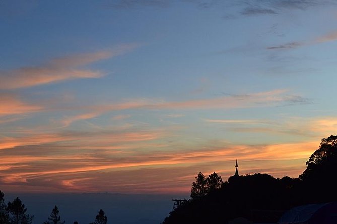 Bird Watching Doi Inthanon - The Cold Top: Bring Warm Layers Even If Chiang Mai Feels Mild