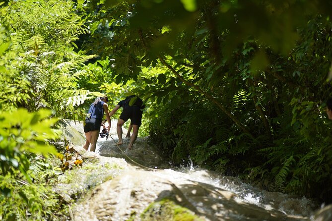 Bua Tong Waterfall Adventure& Huge Cave included Thai Buffet Tour - Price, Group Size, and Why the Guide Matters