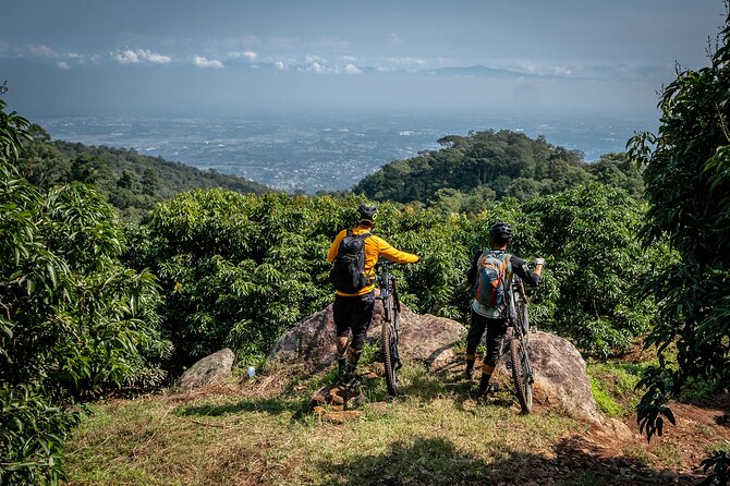 Buffalo Soldier Full Day Mountain Biking Tour Chiang Mai - Key Things I’d Watch For