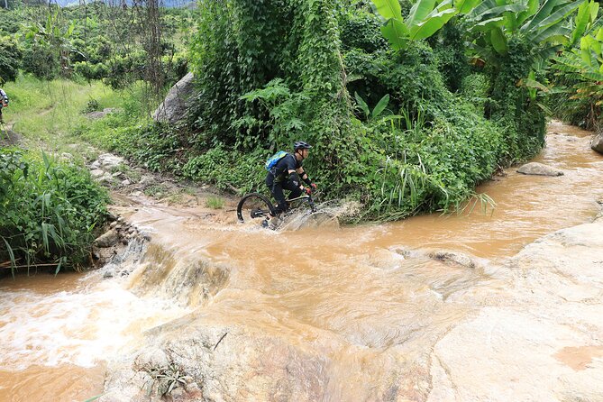 Buffalo Soldier Full Day Mountain Biking Tour Chiang Mai - Midday Break: Trail-Side Lunch That Actually Recharges You