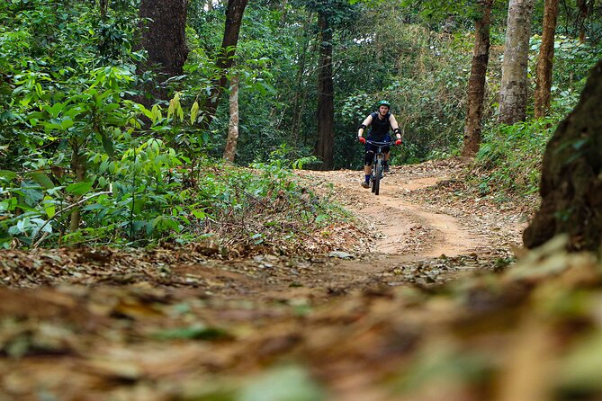Buffalo Soldier Full Day Mountain Biking Tour Chiang Mai - Price and Value: Why $114-ish Can Make Sense