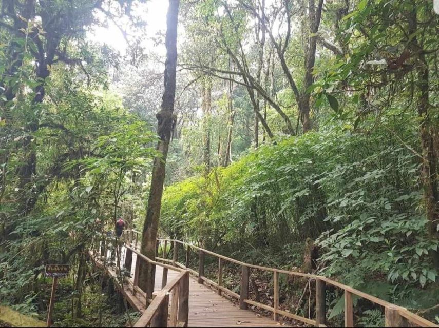 Chang Mai: Doi Inthanon Day Tour w/Waterfalls & Hilltribes - Quick hits before you go