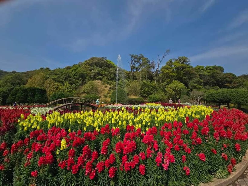 Chang Mai: Doi Inthanon Day Tour w/Waterfalls & Hilltribes - What the English-speaking guides really add: from photo spots to plant talk