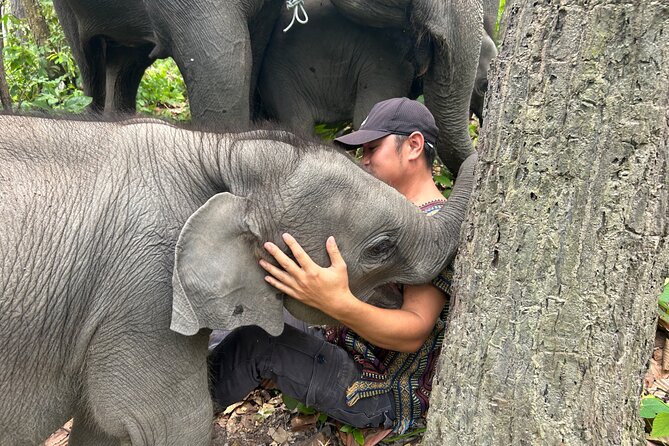 Chiang Mai 1 Day: Elephant Sanctuary, Waterfall & Bamboo Rafting - Morning pickup and the market-stop start (7:30–8:00am)