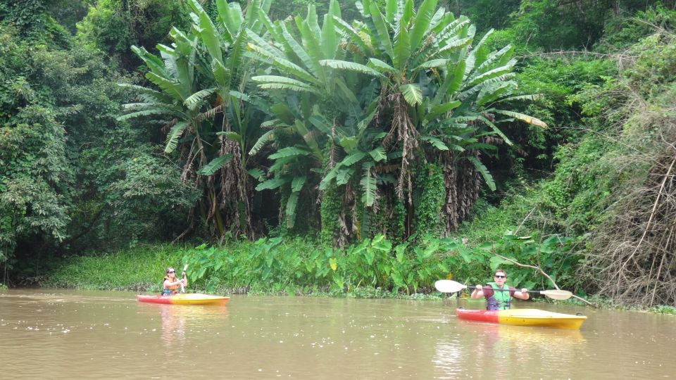 Chiang Mai: 15 km Leisure River Kayaking at Mae Ngat forest - Key Points at a Glance