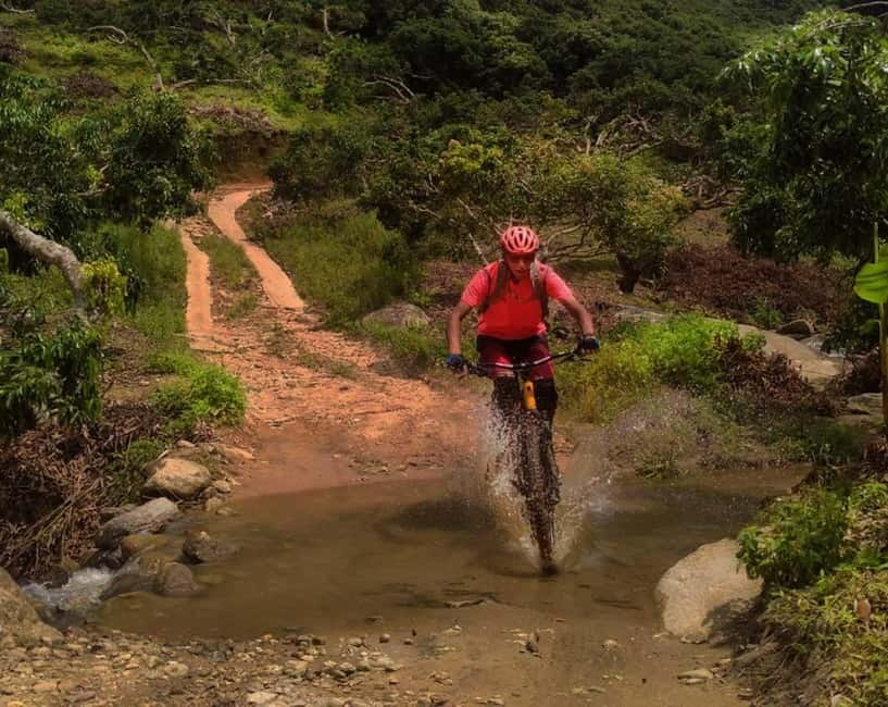 Chiang Mai: 20km Downhill Mountain Biking Challenge Suthep M - Doi Suthep to Lake Huay Tueng Thao: the downhill you feel in your legs