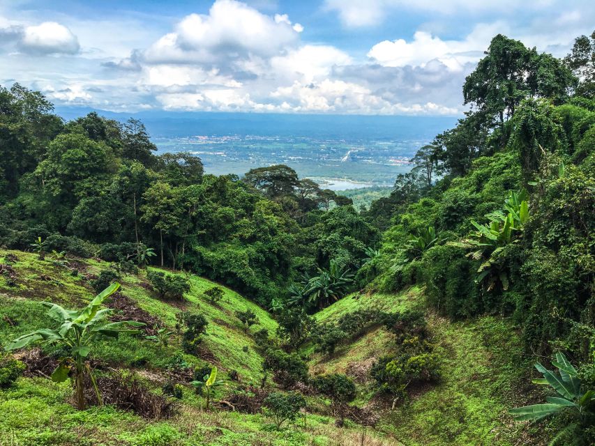 Chiang Mai: 20km Downhill Mountain Biking Challenge Suthep M - San Ku, Wat Ban Khun Chang Khian, and the “you’re not just watching Thailand” feeling
