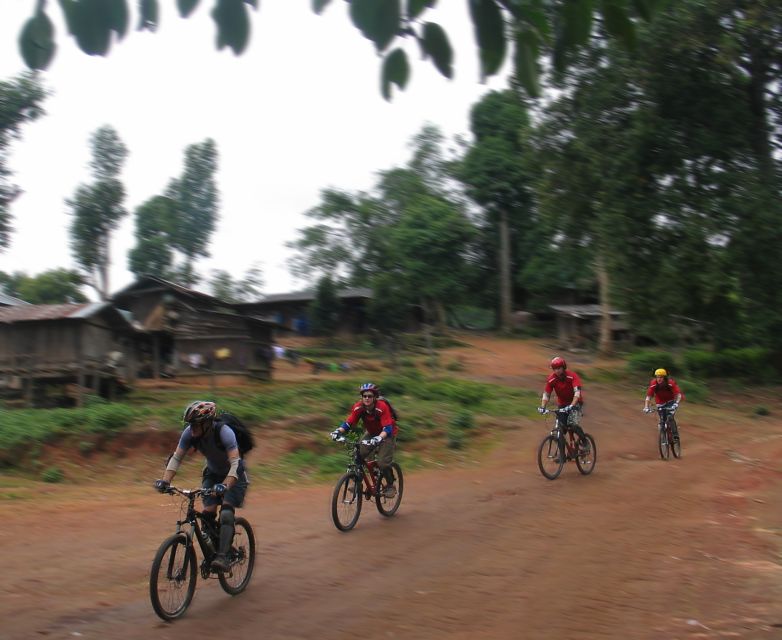 Chiang Mai: 20km Downhill Mountain Biking Challenge Suthep M - Who should book this downhill challenge (and who might rethink it)
