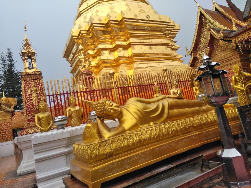 Chiang Mai: 7-Hour Doi Suthep National Park Summit Hiking - Doi Suthep-Pui National Park hiking toward Doi Pui
