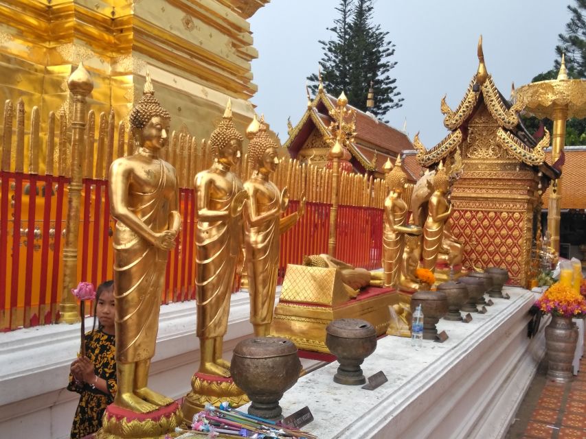 Chiang Mai: 7-Hour Doi Suthep National Park Summit Hiking - Where lunch fits: expect late-afternoon timing and plan snacks