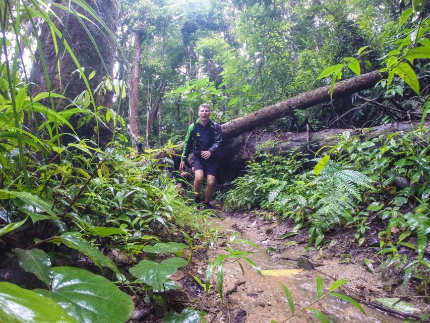 Chiang Mai: 7-Hour Doi Suthep National Park Summit Hiking - The guide, the pace, and the safety net you don’t notice until you need it
