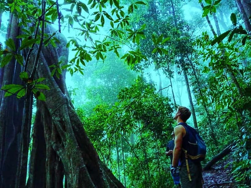 Chiang Mai: 7-Hour Doi Suthep National Park Summit Hiking - What $60 buys you (and when it’s a bargain vs. too much)