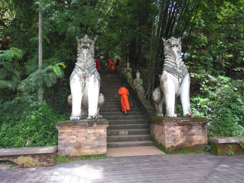 Chiang Mai: 7-Hour Doi Suthep National Park Summit Hiking - Wat Pha Lat: the monk’s trail stretch that sets your rhythm