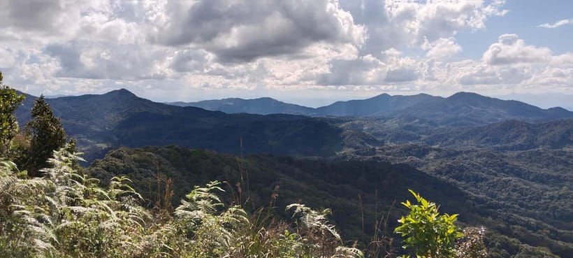 Chiang Mai Authentic Trekking - The 1-Day Schedule: From Pickup to Waterfall Dip