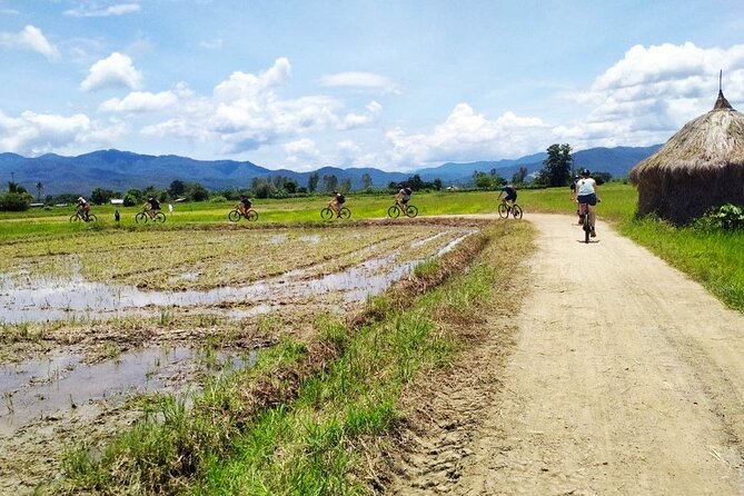 Chiang Mai Biking & River Kayak : Gentle Thrills in a Lush Valley - Mae Ngat Valley on a mountain bike: rice fields, villages, and planned pauses