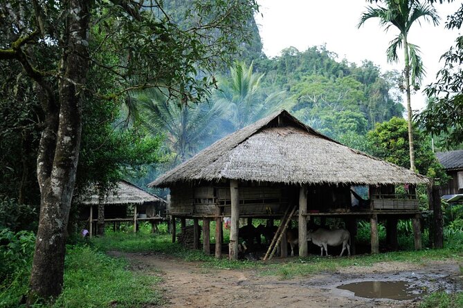 Chiang Mai Day Tour: Chiang Dao Cave and Hill Tribes - Ban Huai I-Ko hill tribes: five communities, one guided conversation