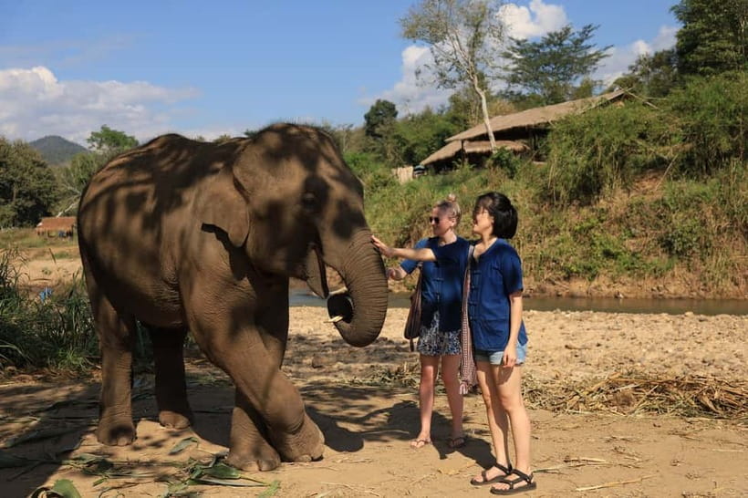 Chiang Mai: Doi Inthanon Hiking & Elephant Sanctuary Program - FAQ