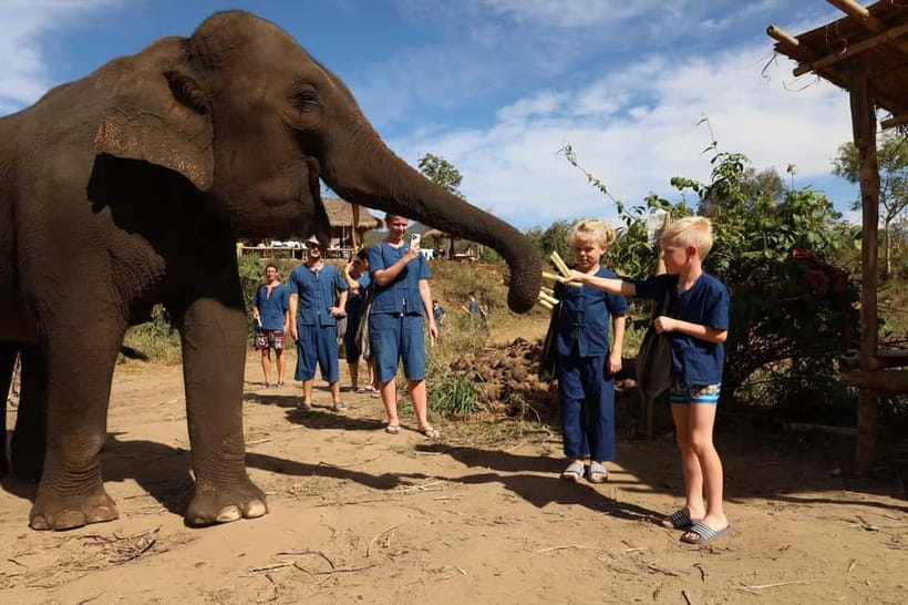 Chiang Mai: Doi Inthanon Hiking & Elephant Sanctuary Program - Twin Pagodas and botanical gardens: peaceful views with a cultural anchor