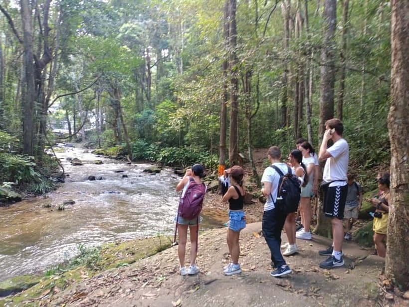 Chiang Mai: Doi Inthanon Hiking & Elephant Sanctuary Program - Price and value: how $56 stacks up for a full 12-hour day