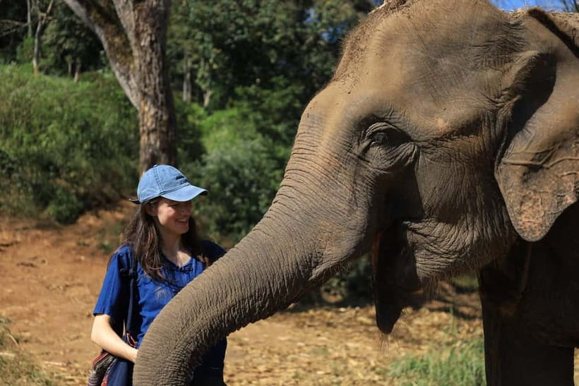 Chiang Mai: Doi Inthanon Hiking & Elephant Sanctuary Program - The drive to Doi Inthanon: long hours, real timing, and cold surprises