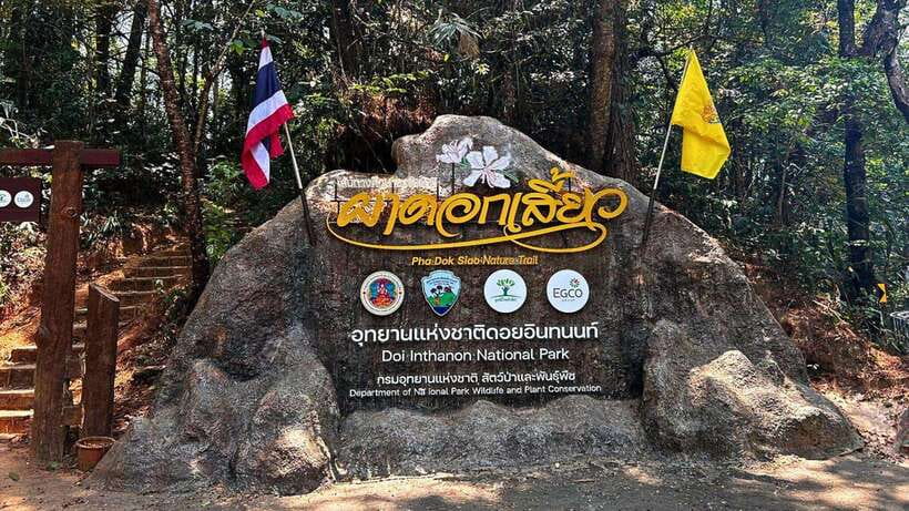 Chiang Mai: Doi Inthanon National Park and Pha Dok Siew Trek - A Day Above Chiang Mai: Doi Inthanon’s Cooler Air and Waterfall Focus
