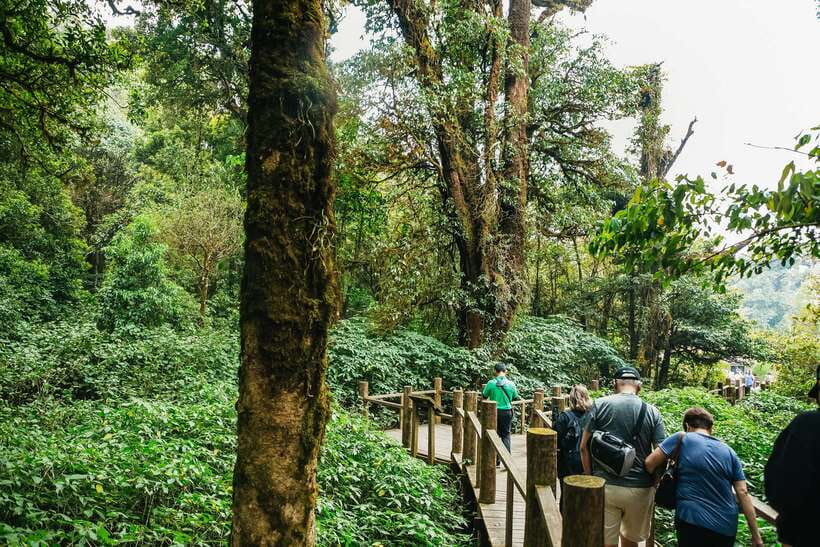 Chiang Mai: Doi Inthanon National Park Eco-Friendly Tour - Why Doi Inthanon Is the Perfect Chiang Mai Day Trip