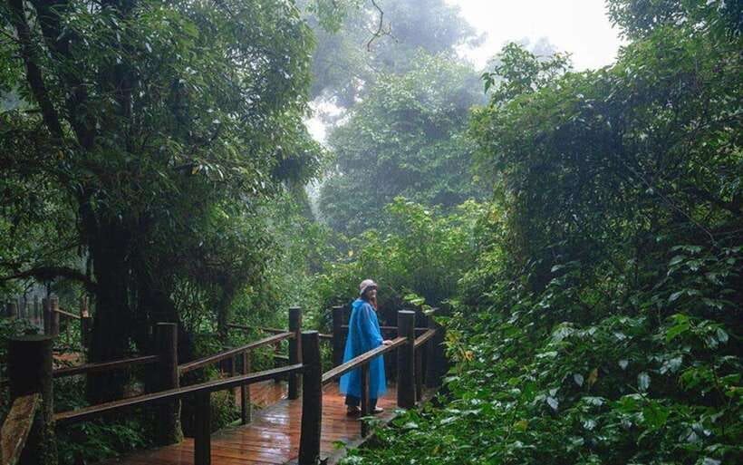 Chiang Mai: Doi Inthanon National Park Sightseeing Only - The Ang Ka Luang Nature Trail: short walk, real forest time