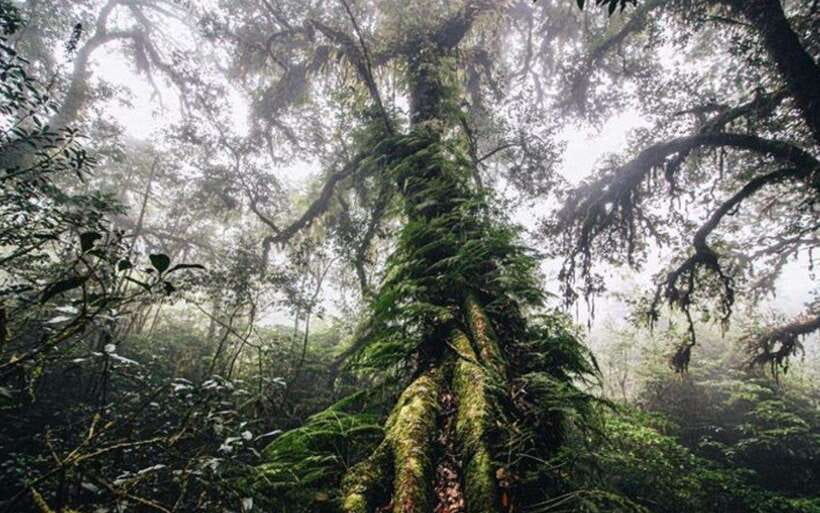 Chiang Mai: Doi Inthanon National Park Sightseeing Only - Waterfall season energy: Sirithan then Wachirathan