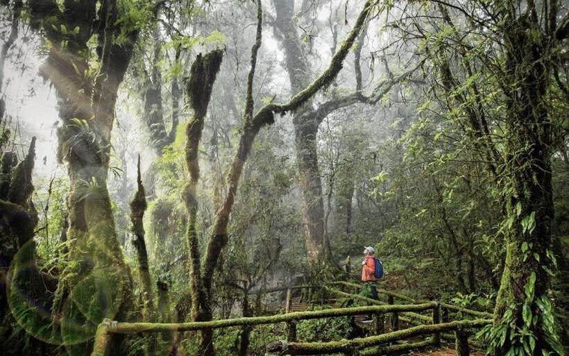 Chiang Mai: Doi Inthanon National Park Sightseeing Only - Pickup, transfers, and the winding-road reality