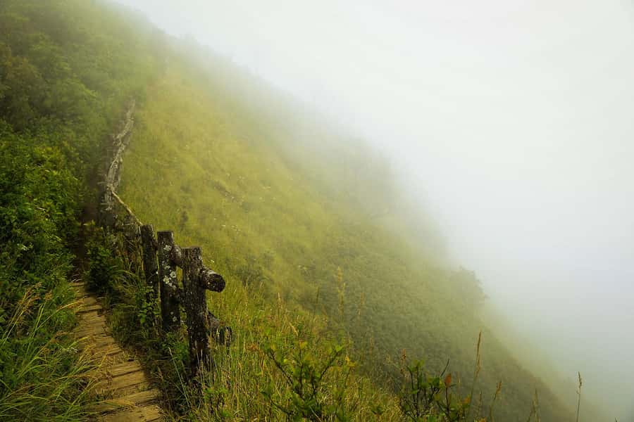 Chiang Mai: Doi Inthanon National Park, Waterfall & Lunch - Price and ticket options: what you’re really paying for