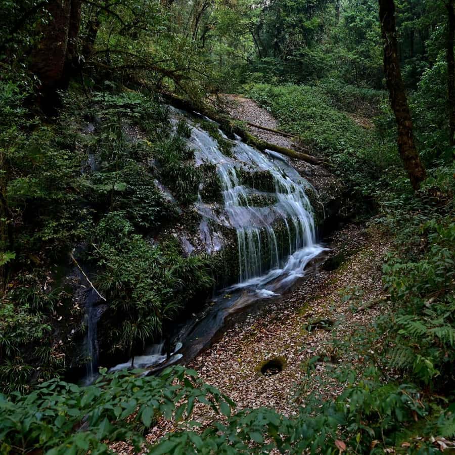 Chiang Mai: Doi Inthanon National Park, Waterfall & Lunch - The mountain air reality: temperatures, what to wear, and how it feels