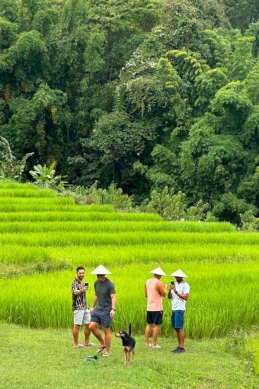 Chiang Mai: Doi Inthanon Park and Pha Dok Siew Trail Trek - Key Highlights Worth Marking on Your Map