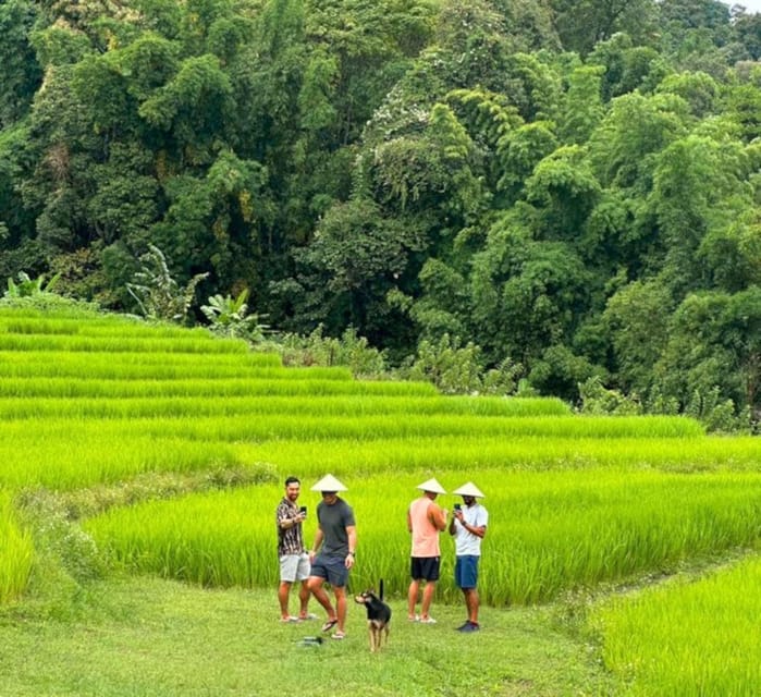 Chiang Mai: Doi Inthanon Park and Pha Dok Siew Trail Trek - Monastery Time and the King and Queen’s Pagodas