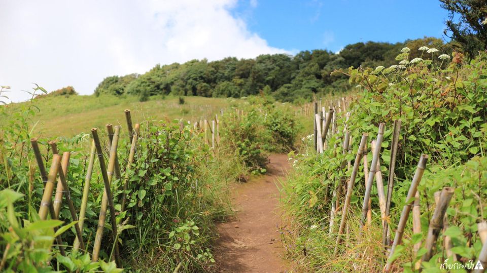 Chiang Mai: Doi Inthanon Park Day Trip with Kiw Mae Pan Hike - Key Points You’ll Actually Care About