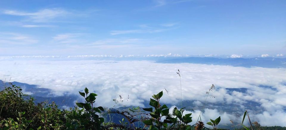 Chiang Mai: Doi Inthanon Park Day Trip with Kiw Mae Pan Hike - Vachiratharn Waterfall: Rushing Water and Photo Timing