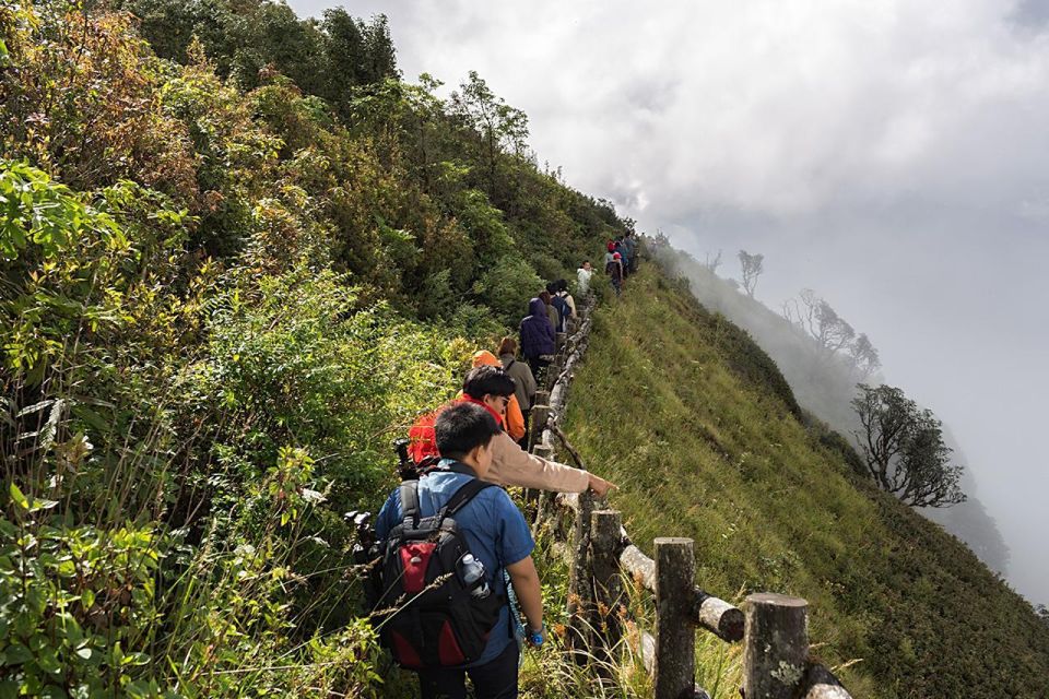 Chiang Mai: Doi Inthanon Park Day Trip with Kiw Mae Pan Hike - The Pace and Transport: A Full Day With Many Stops