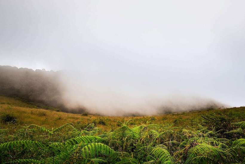 Chiang Mai: Doi Inthanon Park Tour & Kew Mae Pan Trail Hike - What you really get for the $51 price