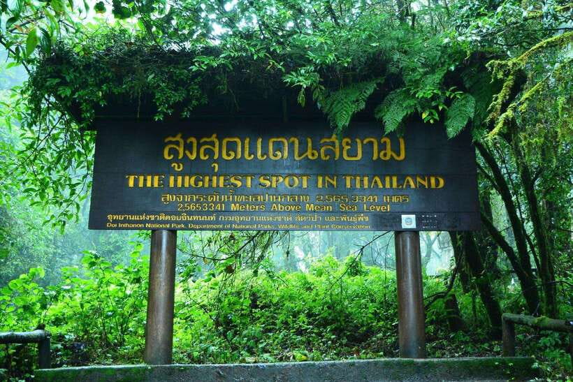 Chiang Mai: Doi Inthanon Park Tour & Kew Mae Pan Trail Hike - Pickup timing and small-group pace (why it matters)