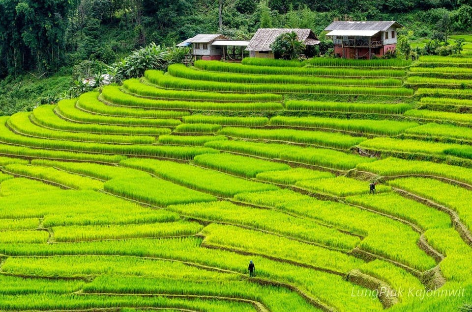 Chiang Mai Doi Inthanon Park Waterfall Pure Sightseeing Tour - What to bring (and what to skip) for a comfortable day