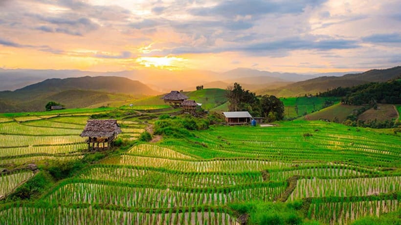 Chiang Mai: Doi Inthanon Trip with Pha Dok Siew Guided Trek - Price and value: what your money covers (and the key fee check)
