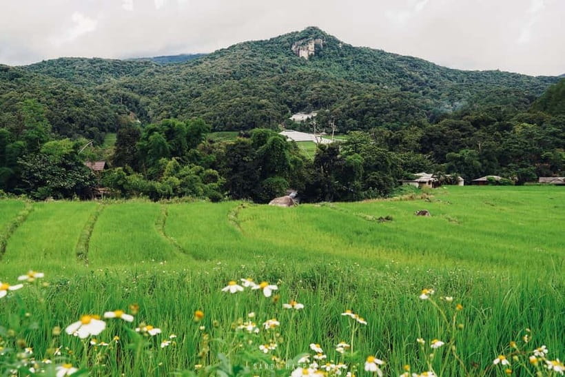 Chiang Mai: Doi Inthanon Trip with Pha Dok Siew Guided Trek - Lunch in the Karen area (and the coffee/tea stop)