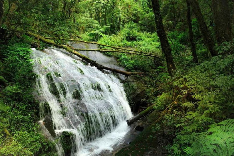 Chiang Mai: Doi Inthanon Trip with Pha Dok Siew Guided Trek - Wachirathan Waterfall: photos first, no swimming