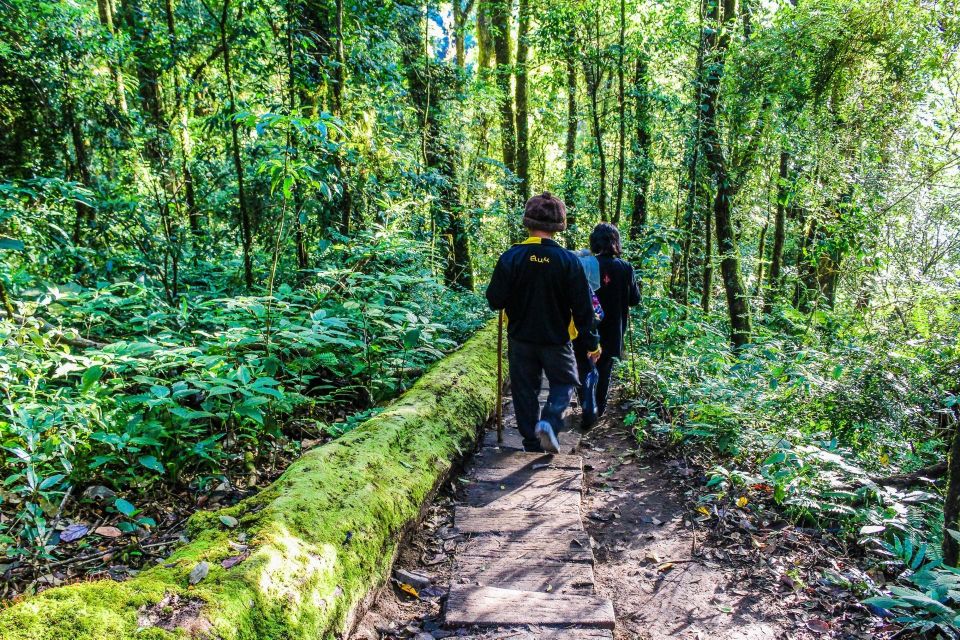 Chiang Mai: Doi Inthanon, Waterfalls, & Tribal Villages Tour - Hill-Tribe Market and Karen/Hmong Villages: Culture With Real Boundaries
